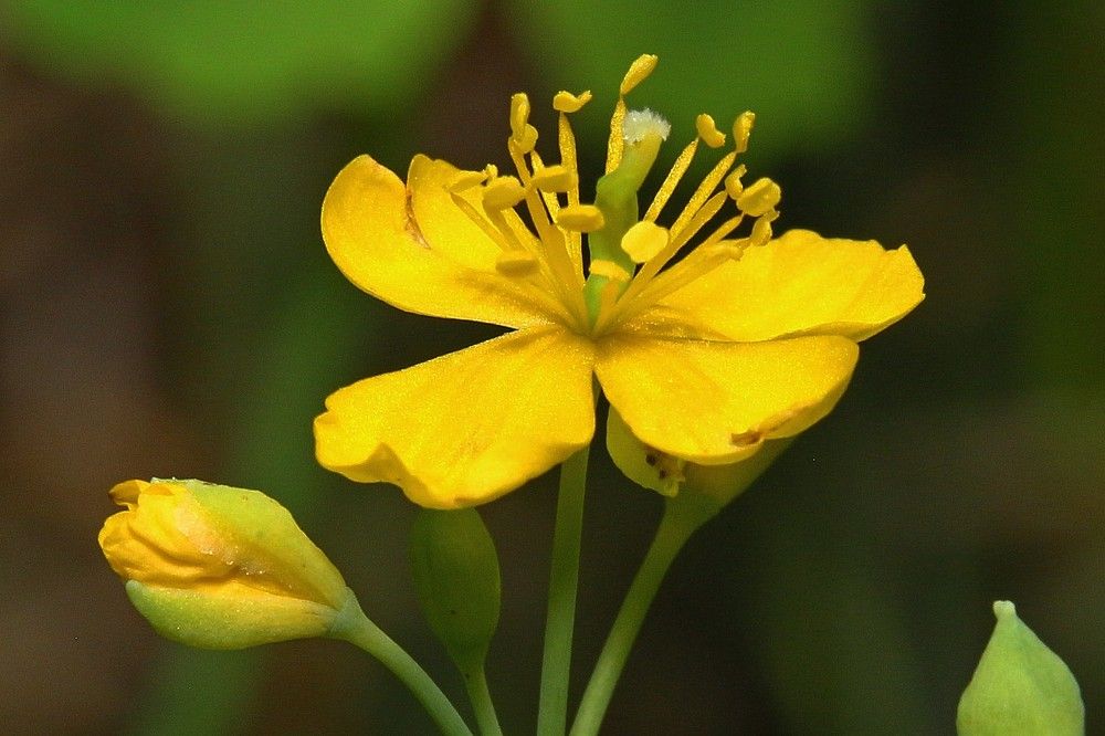 Фотография автора Геннадий Титов