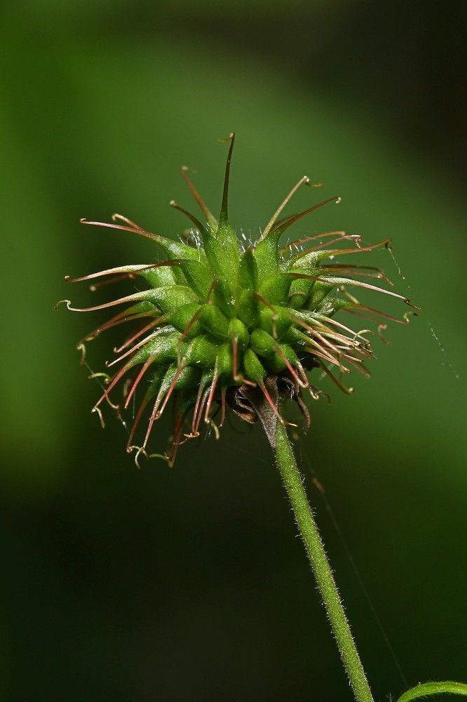 Фотография автора Геннадий Титов