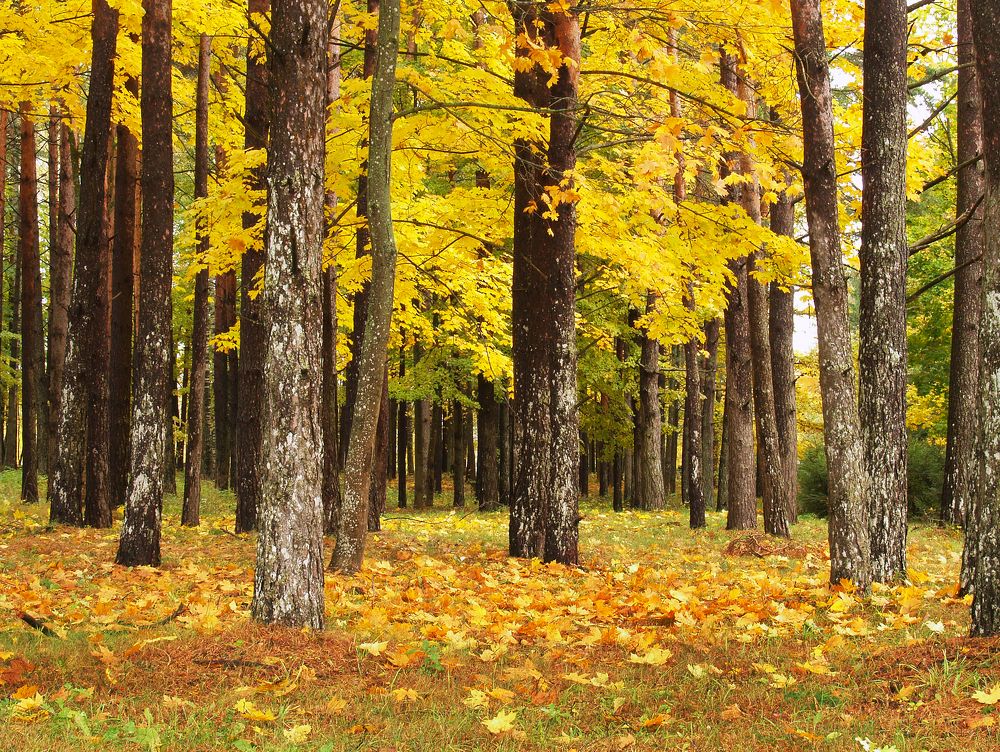 Photograph by Agita Leimane