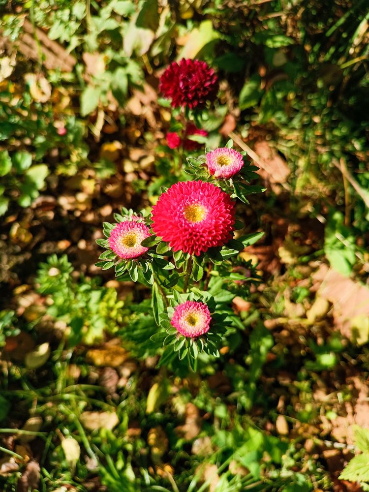 Photograph by Светлана Мишенёва