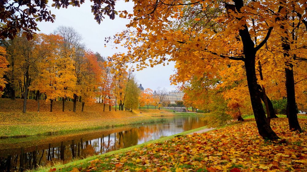 очей очарованье.