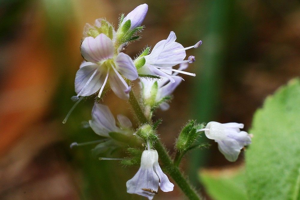 Фотография автора Геннадий Титов