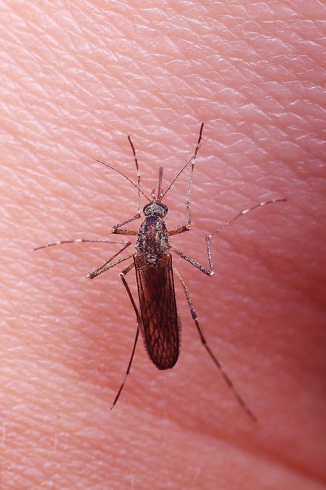 Фотография автора Геннадий Титов