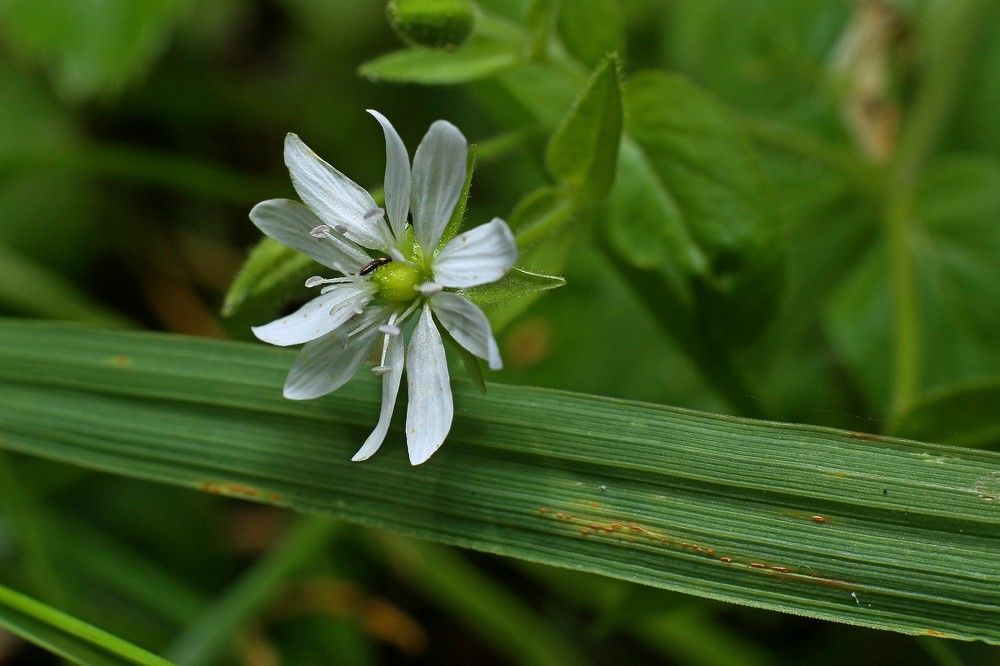 Фотография автора Геннадий Титов