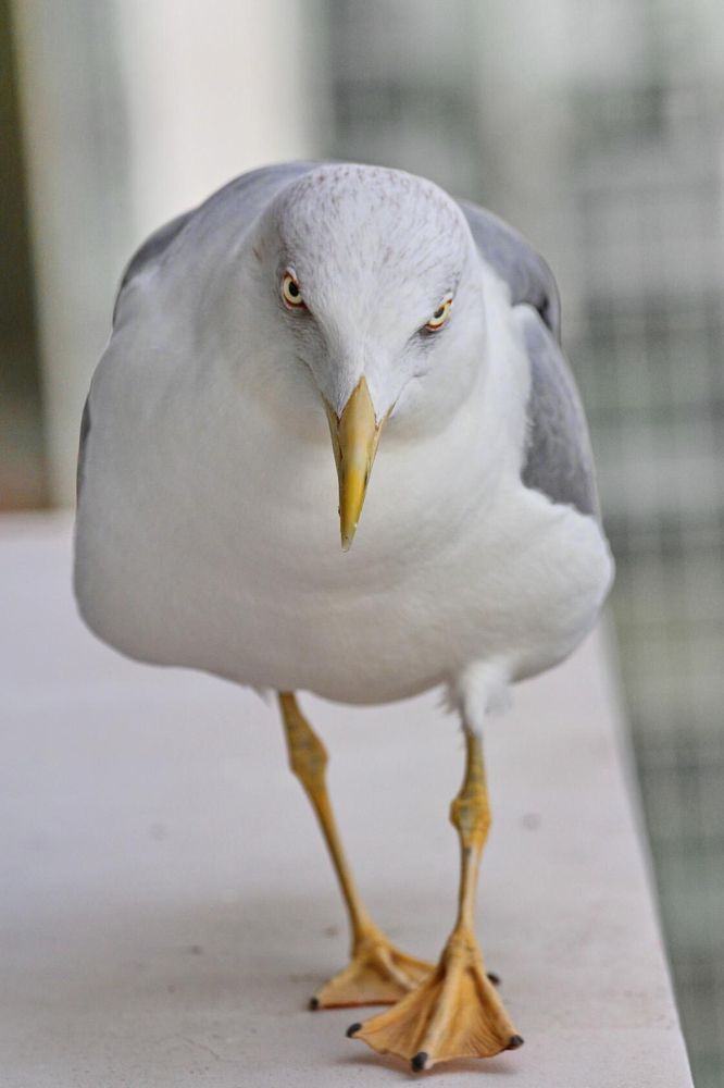 Photograph by Татьяна Бравая