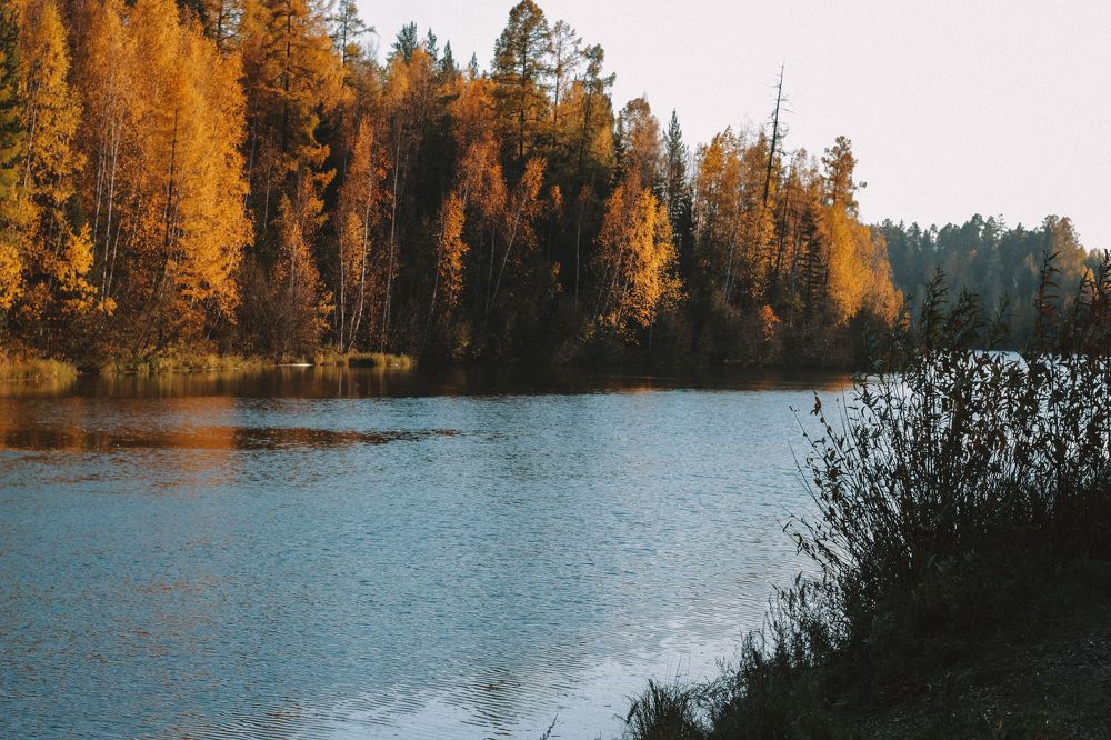 Photograph by Владислава Игошина