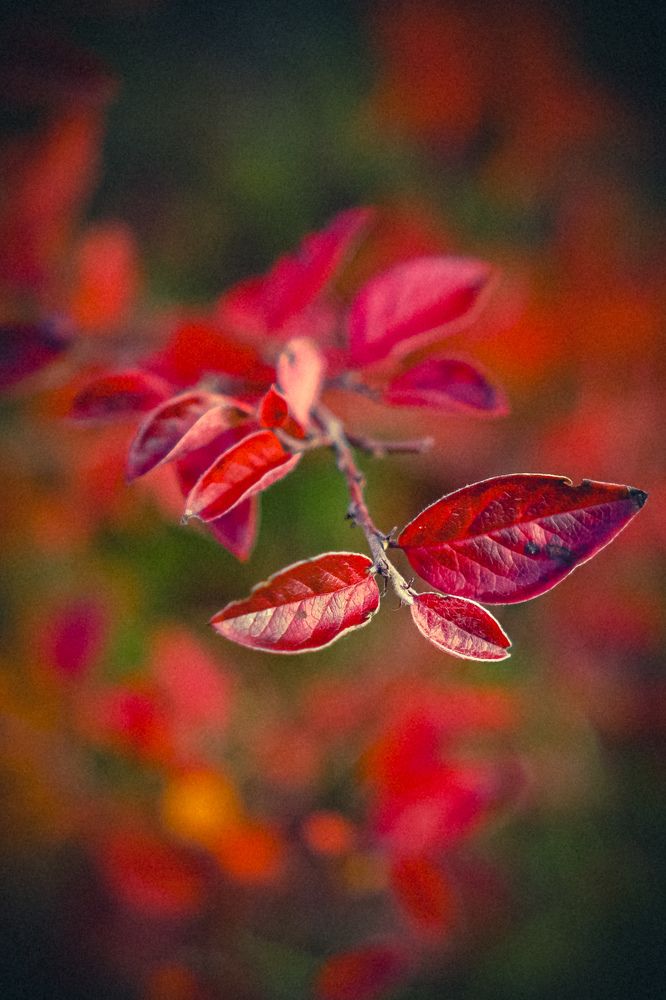 Photograph by Олег Бесенев
