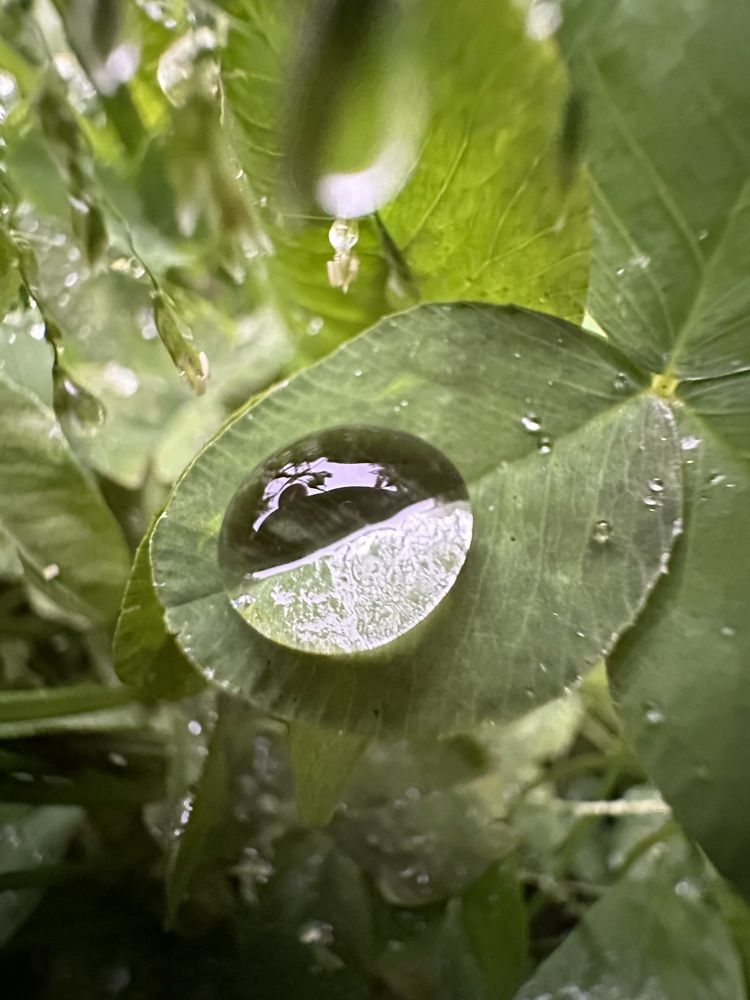 Photograph by Abdul Raouf Dar