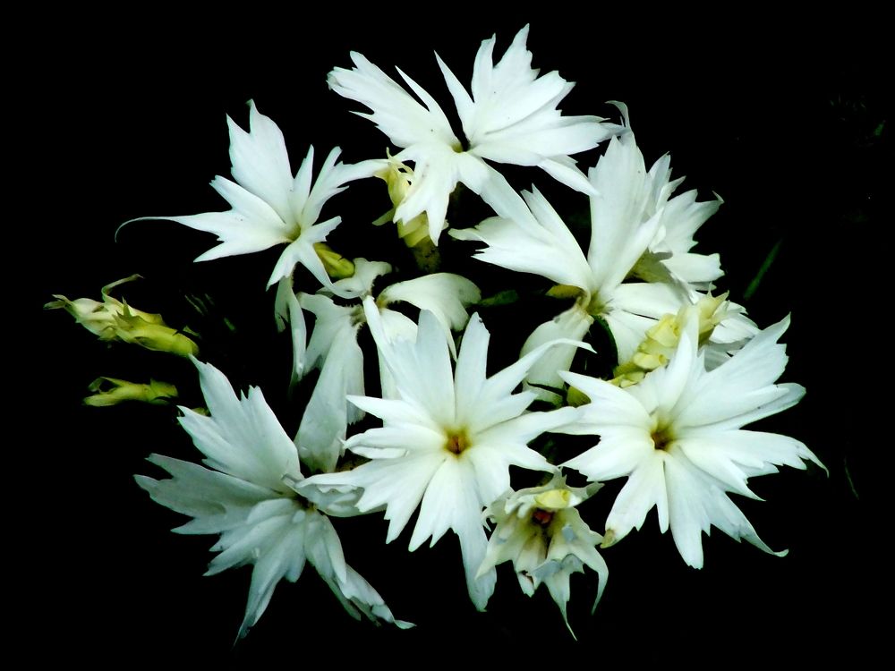 Photograph by Михаил Семёнов