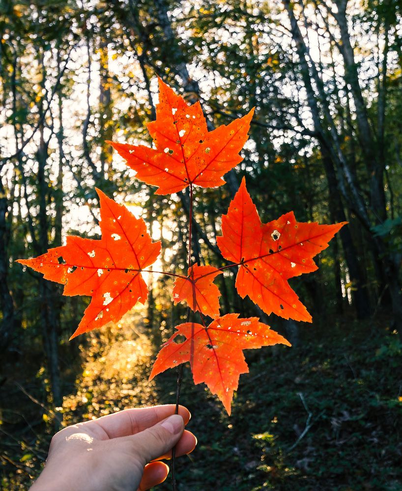 Photograph by SLUTSKAYA YANA