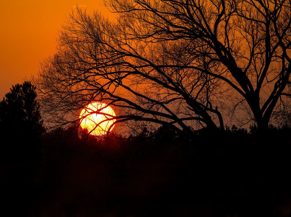 Photograph by SLUTSKAYA YANA