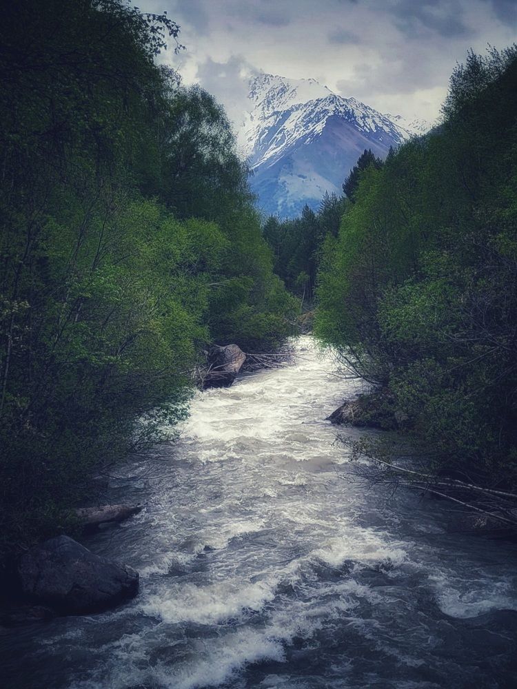 Photograph by Светлана Гаранина