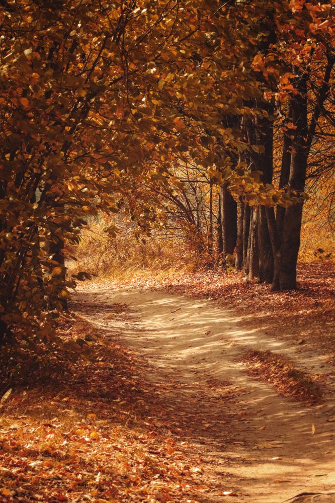 Photograph by Лысенкова Аксинья