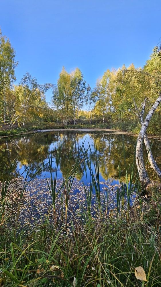 Photograph by Николай Балакин