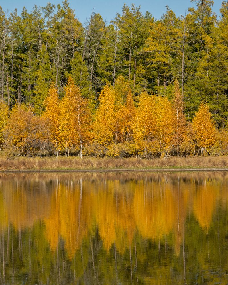 Photograph by Дмитрий Бочкарёв