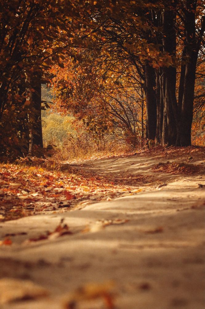 Photograph by Лысенкова Аксинья