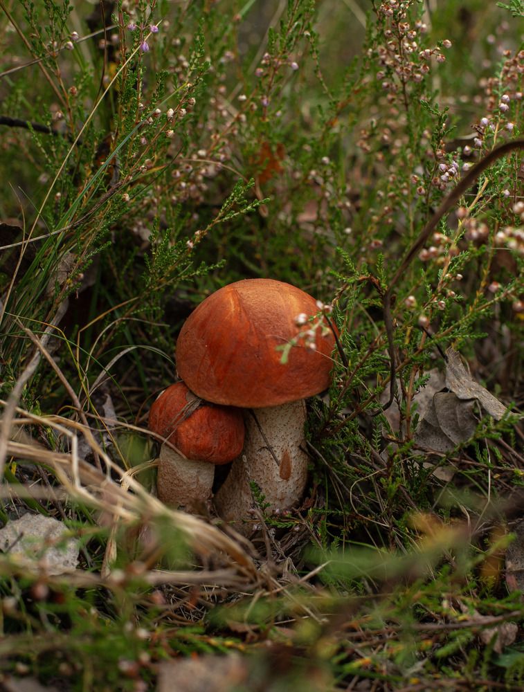 Photograph by Наталья