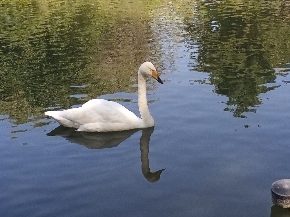 Фотография автора Дмитрий Шеколенко