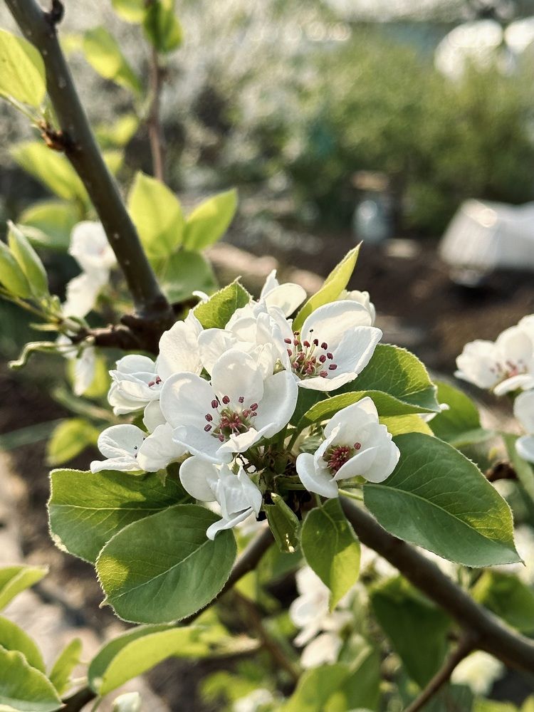 Photograph by Лазарева Анна Игоревна