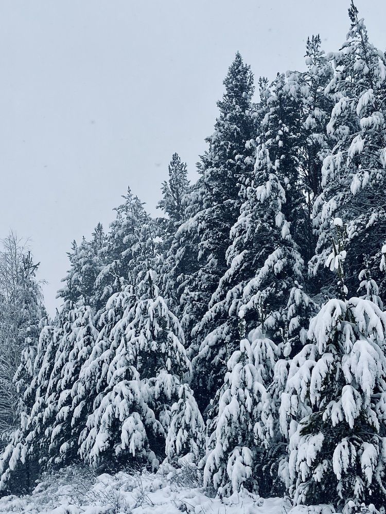 Photograph by Лазарева Анна Игоревна