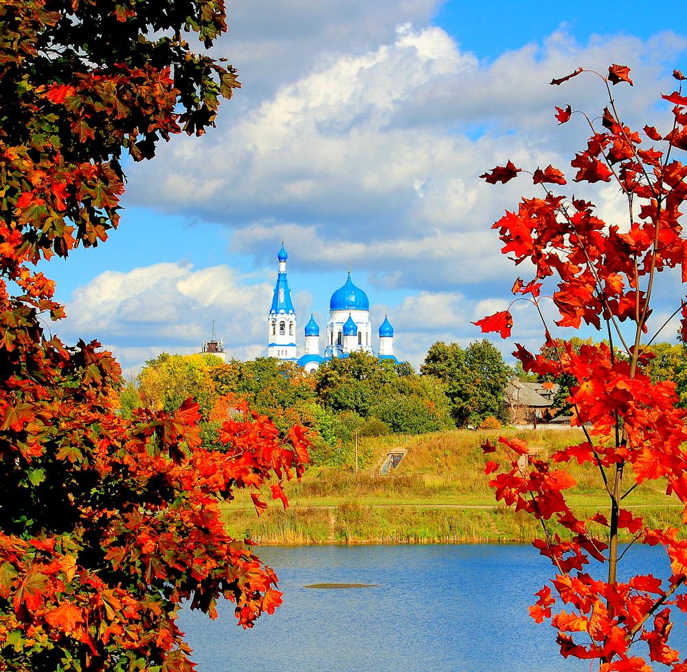 краски осени в гатчине.