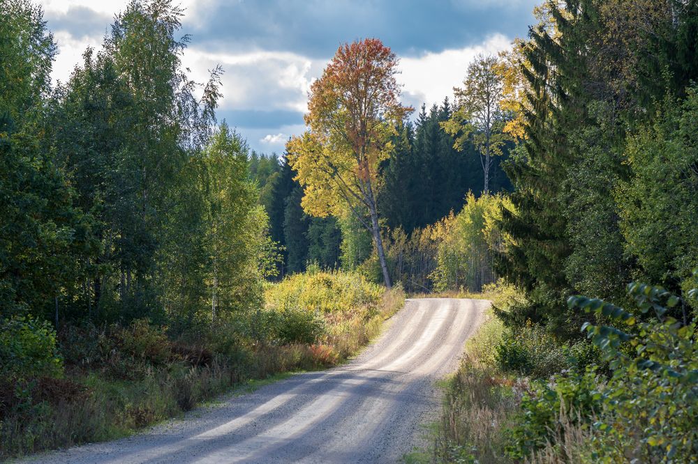 Photograph by Agita Leimane