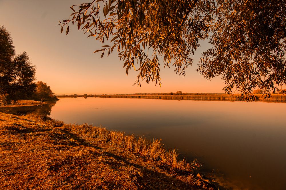 Photograph by Анна Крюкова