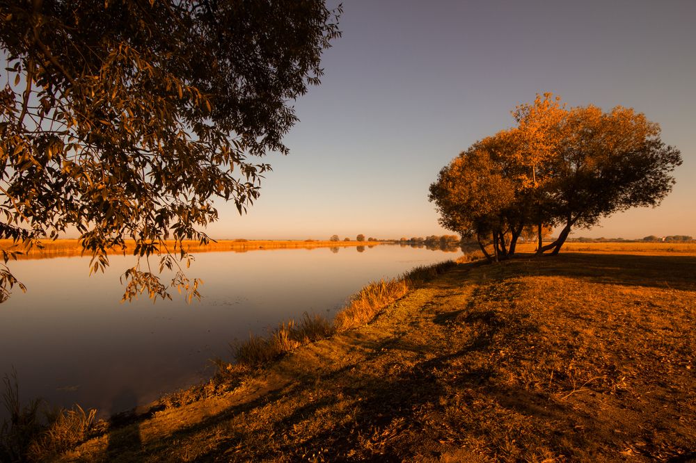 Photograph by Анна Крюкова