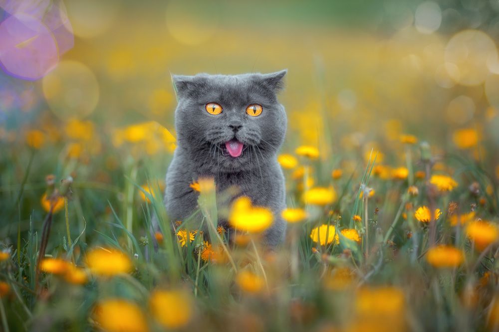 А Это что за Цветочек!?