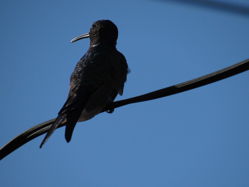 Photograph by Juliana