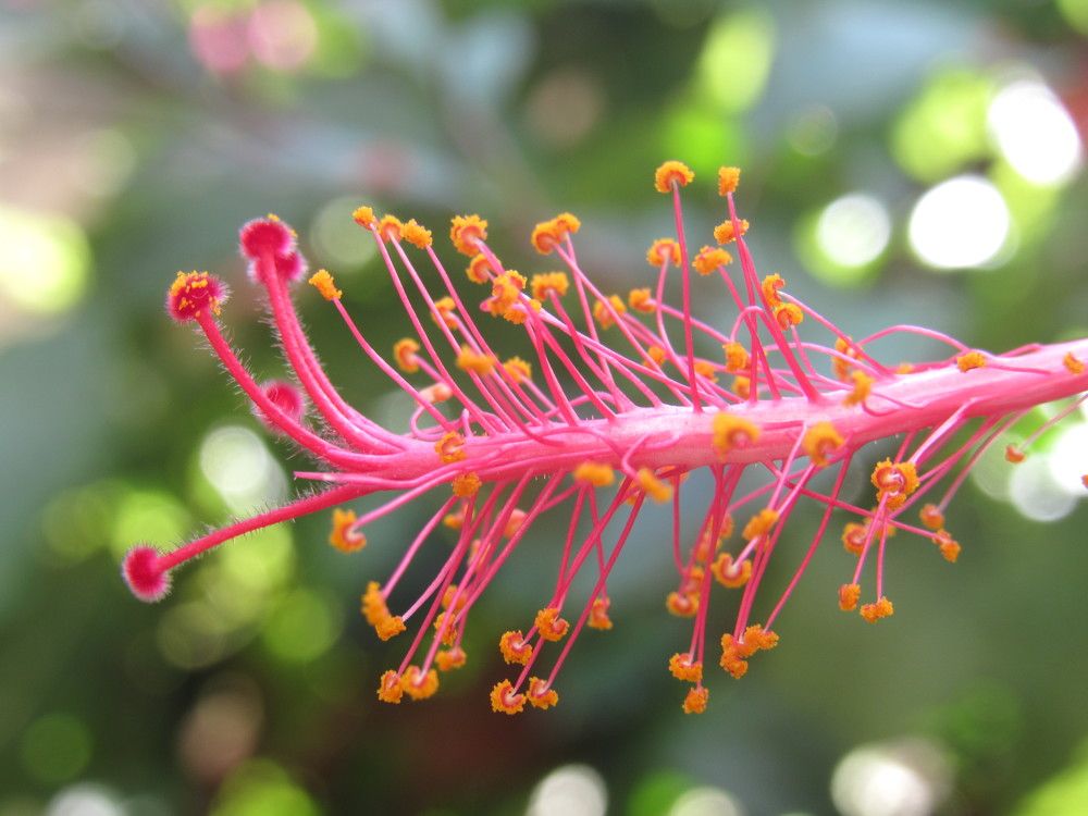 Photograph by Juliana