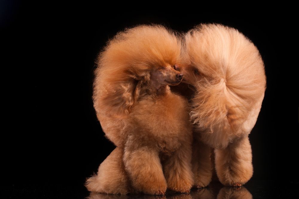 Фотография автора Katerina Mumzhinskaya