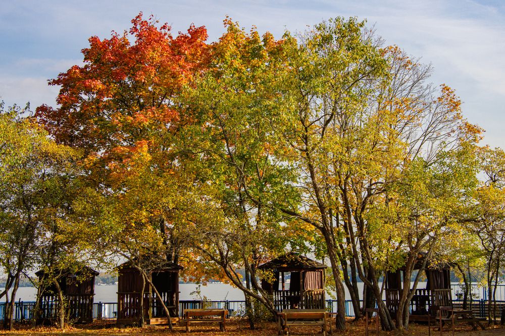 Photograph by Сергей Щербаков