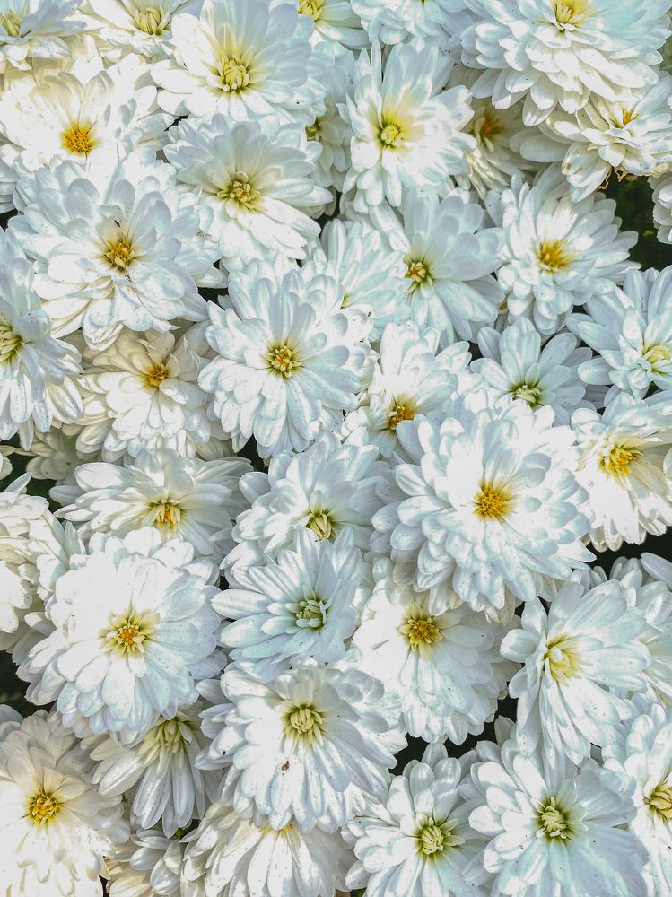 Фотография автора Александр Заикин