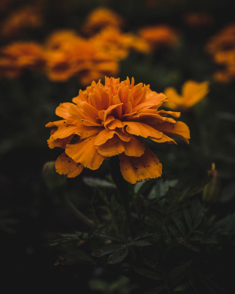 Photograph by Николай Головко