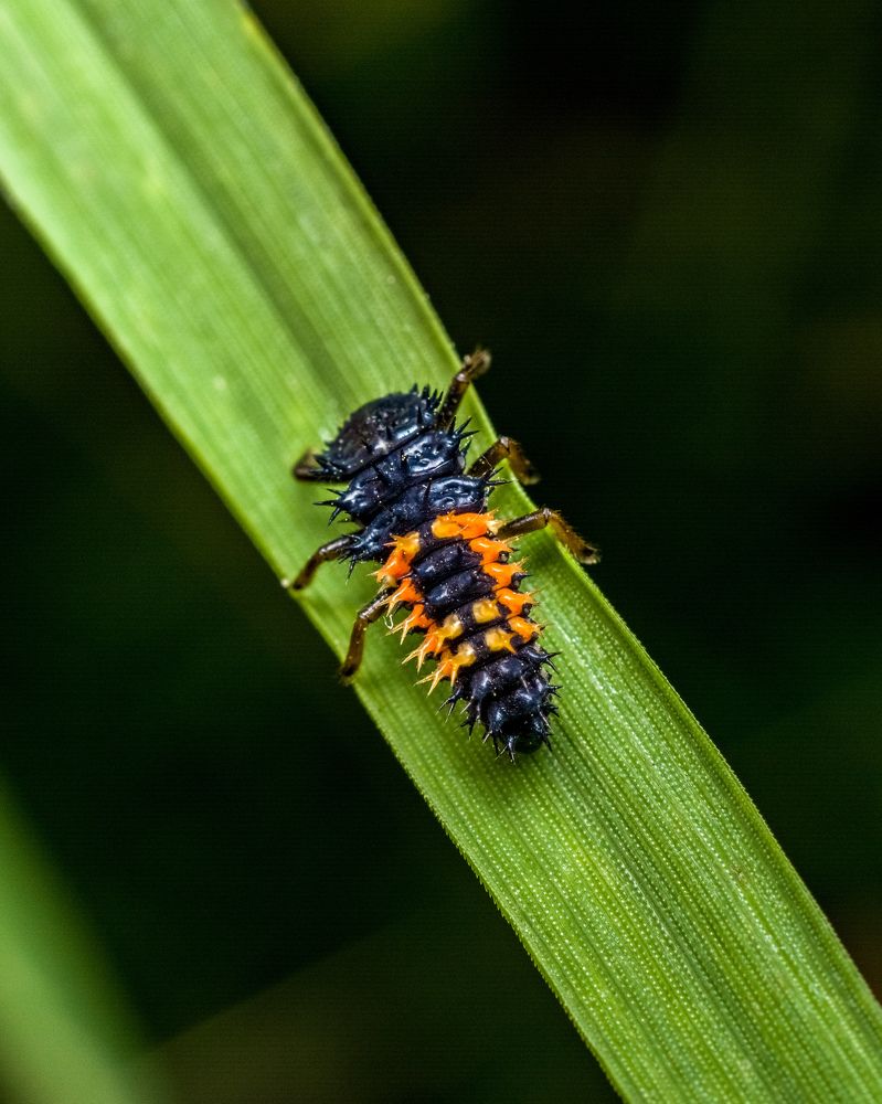 Photograph by Николай Головко