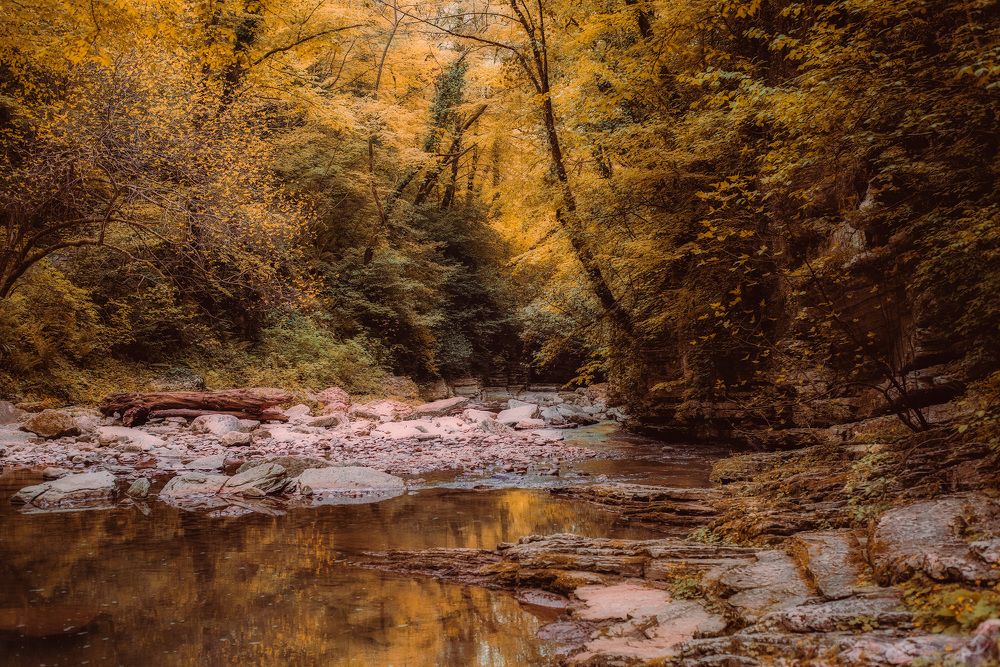 Photograph by Наталия Шляпина