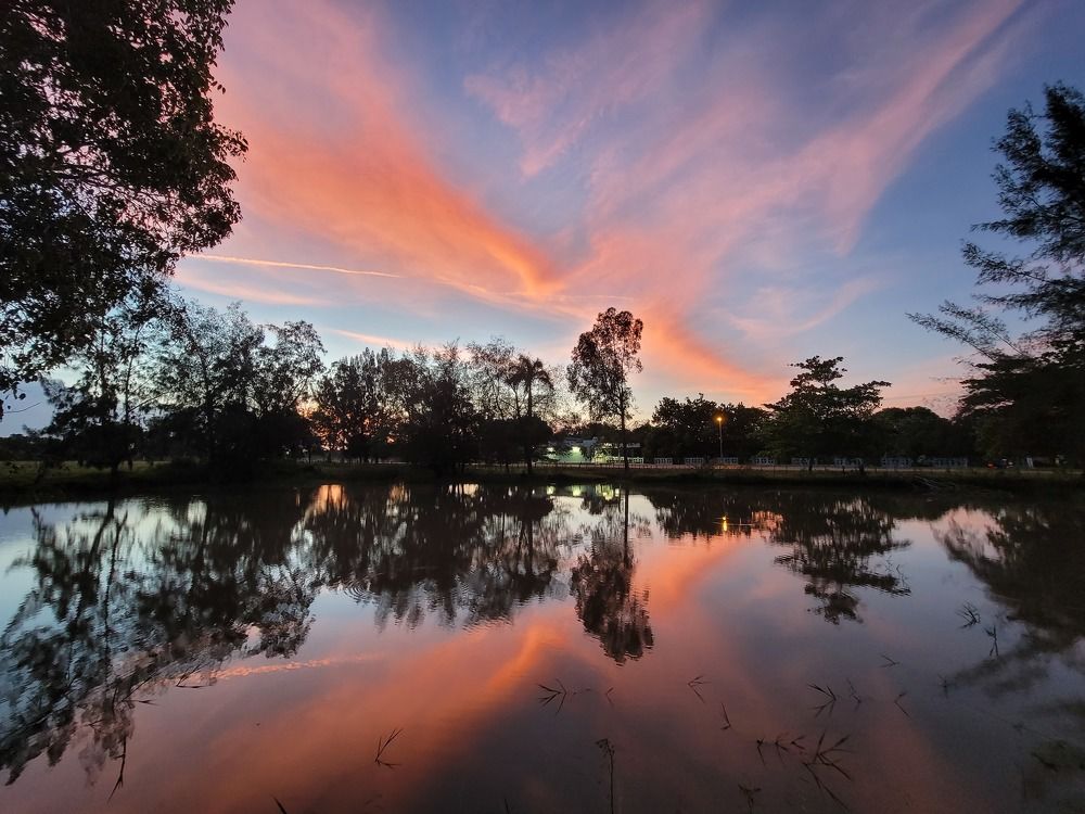 Cielo en la tierra