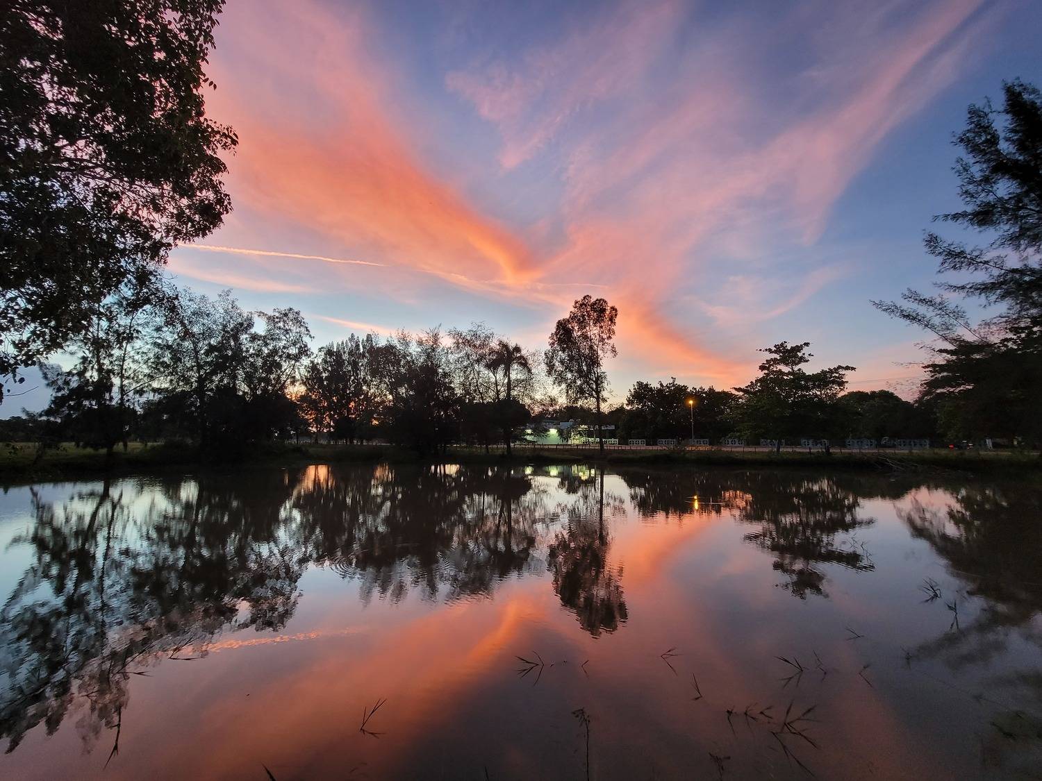 Cielo en la tierra