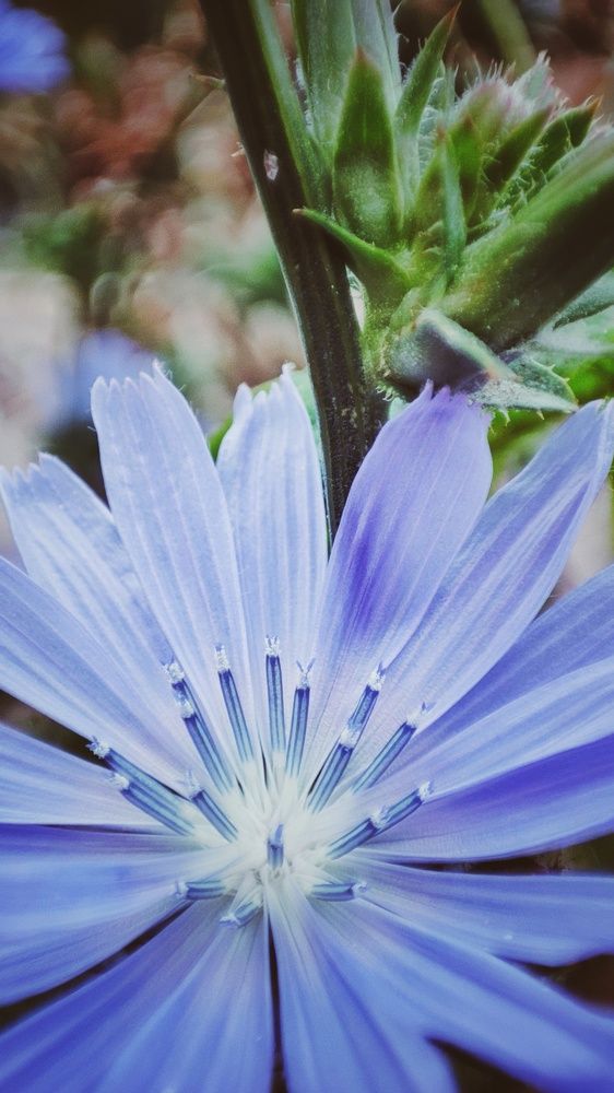 Photograph by Наталья Калюнова