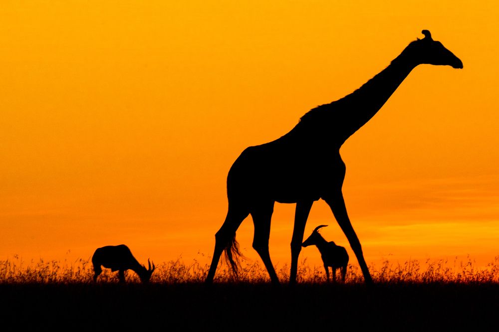 Photograph by EELIN Chan