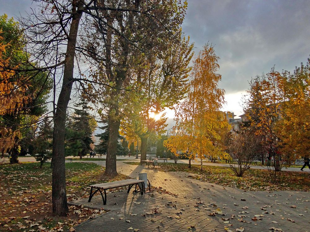 Photograph by Игорь Пшеничников