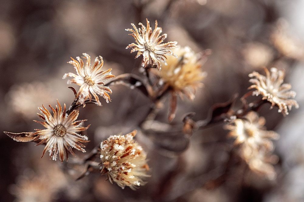 Photograph by Андрей Егоров