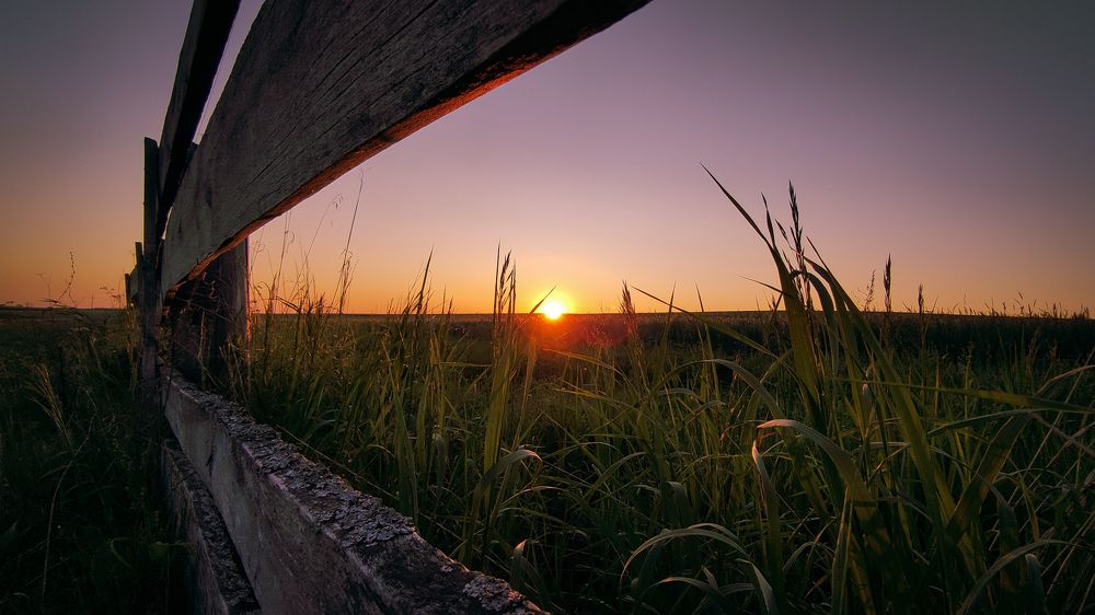 На исходе дня