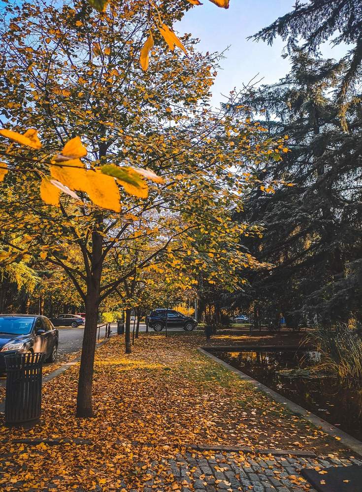 Photograph by Ламара Авалишвили