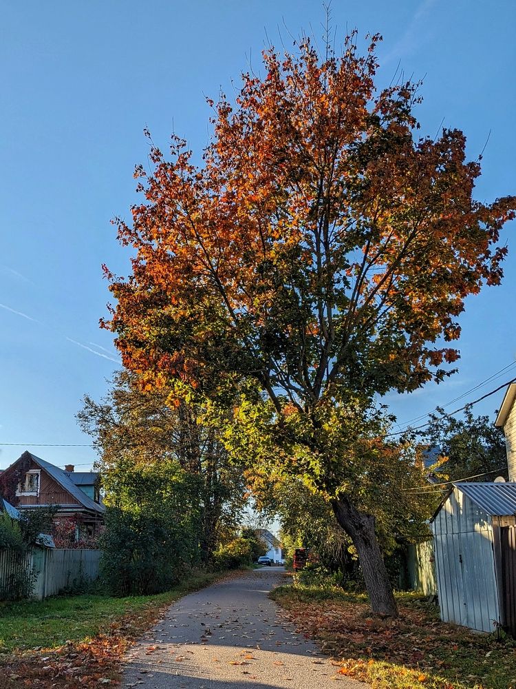 Photograph by Екатерина Чижевская