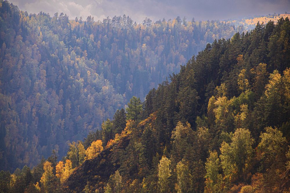 Photograph by Светлана Андреева