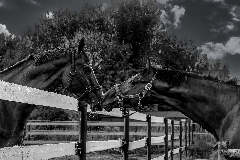 Photograph by александр лялин