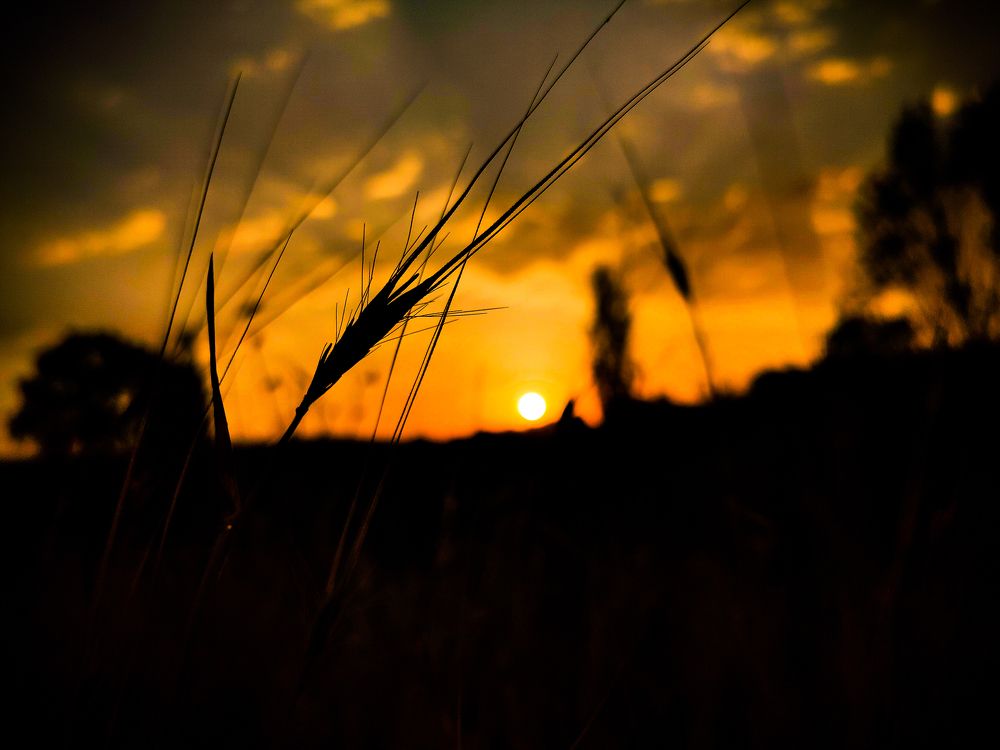 Photograph by mahdi roozbahani