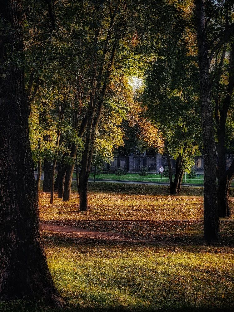 Photograph by Александра Кропивка